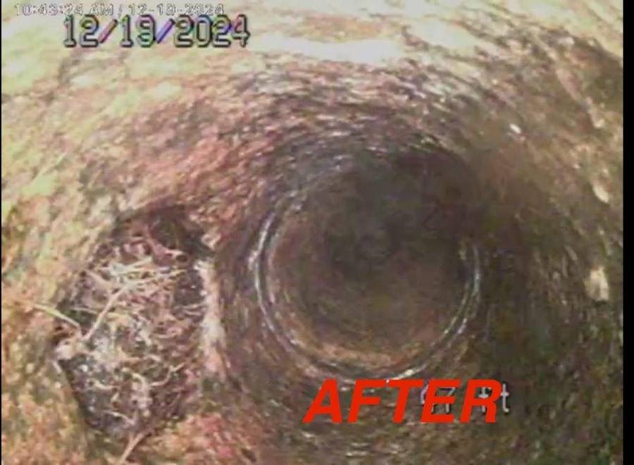 Video drain camera inspection in Pomona, CA
